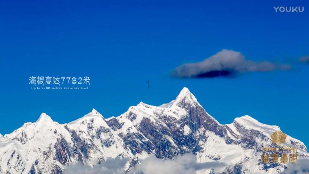 救援卑鄙者