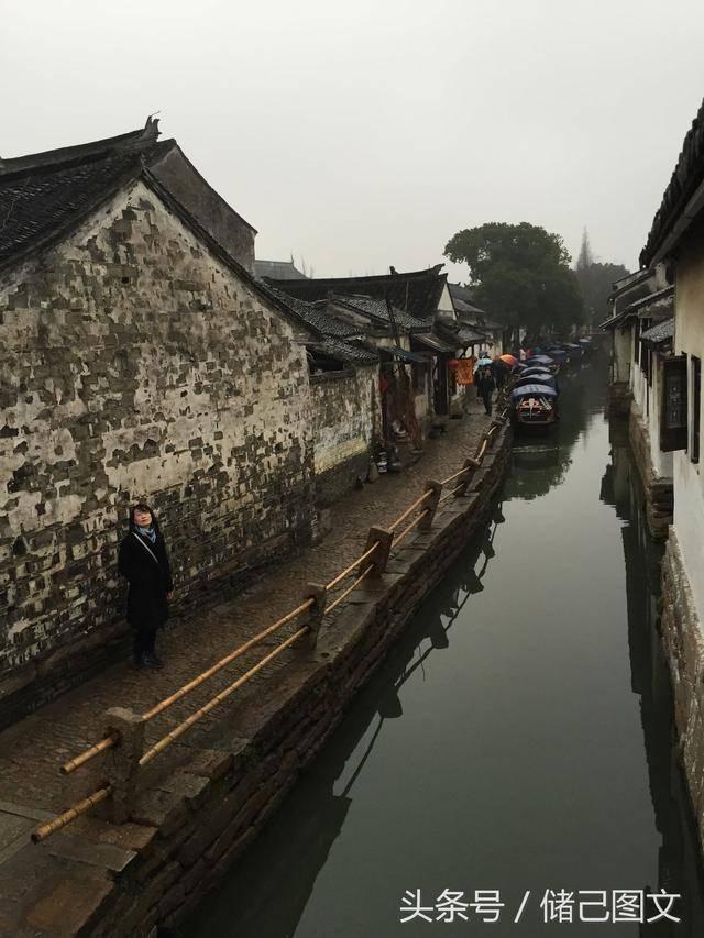 紫色系